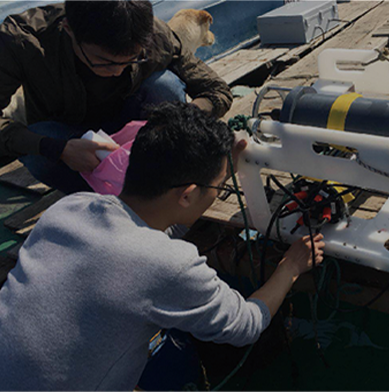 在线观看已满18从此进网站